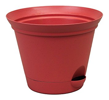 Misco 754-051 Flare Self Watering Planter, 7-Inch, Clay