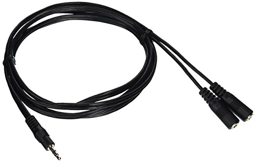 CableWholesale 6-Feet 2 x 3.5mm Stereo Female to 3.5mm Stereo Male Cable (10A1-01206Y)