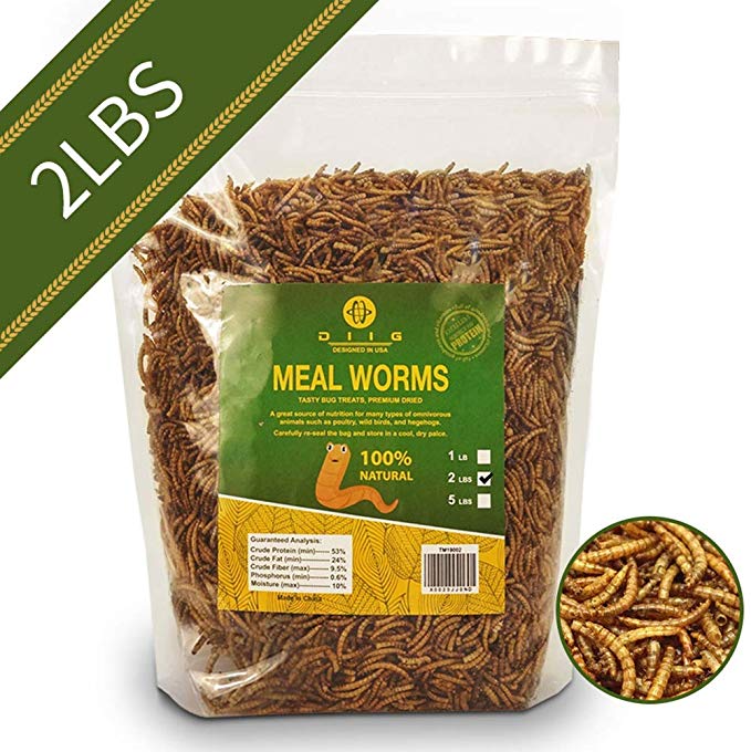 diig Non-GMO Dried Mealworms - Treats for Birds Chickens Hedgehog Hamster Fish Reptile Turtles, 2 lb