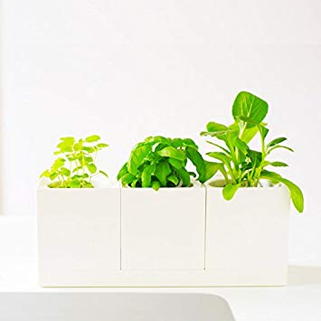 Creative Modular Selfwatering Square White Pot for All Mini Desktop Plants - Kitchen Garden, Home and Office Decoration (3 Pots Set)