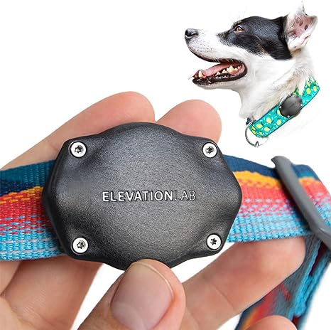 TagVault Pet - Secure & Comfortable Collar Mount for AirTag, Great for Dogs & Cats, Waterproof, Ultra-Durable, Composite Body, Stainless Hardware (Single)