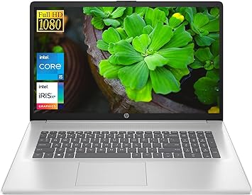 HP Flagship 17.3 FHD Business Laptop, 10-core Intel i5-1335U (Beat i7-1255U) Up to 4.6GHz, 16GB RAM, 1TB NVMe SSD, Backlit Keyboard, Iris Xe Graphics, Wi-Fi 6, Bluetooth 5.3, Win 11 W/GM Accessory