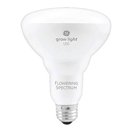 GE Lighting 93101231 9-Watt BR30 LED Grow Light Bulb for Indoor Plants, Red Reproductive Spectrum for Flowering and Fruiting