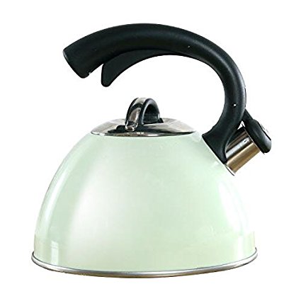 ROCKURWOK Stainless Steel, 14-cup Stovetop Whistling Tea Kettle,2.63-Quart, Fizzy Green