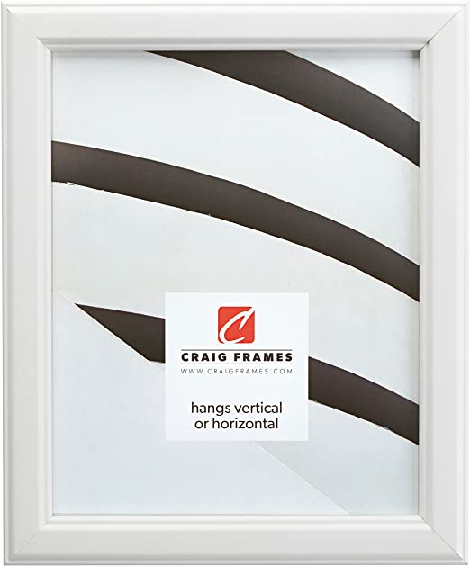 Craig Frames Tulip Poplar, Simple White Hardwood Picture Frame, 20 by 30-Inch