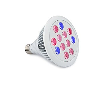 LED Grow Light Bulb - Perfect Grow Lights for Indoor & Outdoor Plants - Suitable for Hydroponic Garden Greenhouses - LED Growing Light - 12W E27 - 12 LEDS (3 Blue & 9 Red) - Divine LEDs