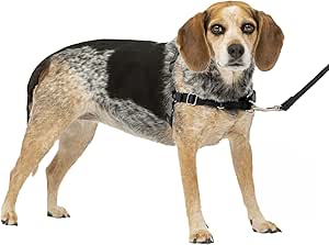 PetSafe Easy Walk No-Pull Dog Harness - The Ultimate Harness to Help Stop Pulling - Take Control & Teach Better Leash Manners - Helps Prevent Pets Pulling on Walks - Small/Medium, Charcoal/Black