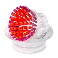 Casabella Mini Brush Scrubber With Holder assorted colors