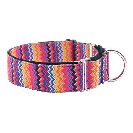 EXPAWLORER Martingale Collars for Dogs, Heavy Duty Nylon Dog Collar Large