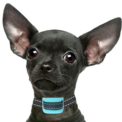 PetSol MINI Intelligent Anti Bark Advanced Dog Stop Barking Collar, Reliably Stops Dogs Barking Safely And Humanely.