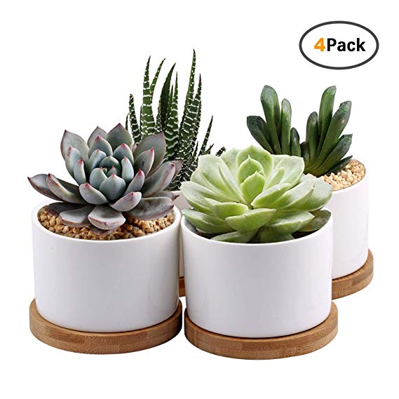 Succulent Planter, ZOUTOG White Mini 3.15 inch Ceramic Flower Planter Pot with Bamboo Tray, Pack of 4 (Plants NOT Included)