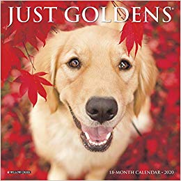 Just Goldens 2020 Mini Wall Calendar (Dog Breed Calendar)