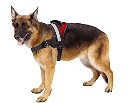 Big Dog Soft Reflective No Pull Harness