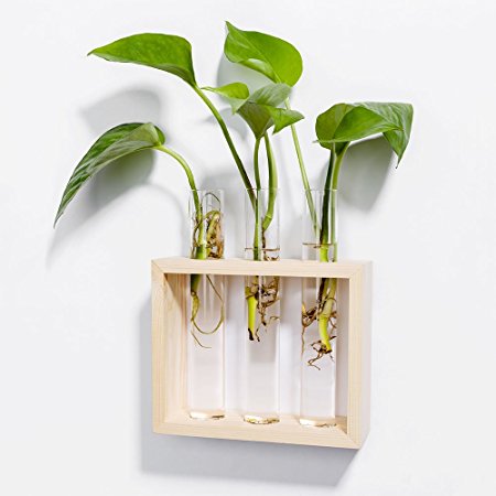 Mkono Wall Hanging Planter Test Tube Flower Bud Vase with Wood Stand