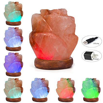 Niubity Himalayan Pink Natural Salt Lamp,USB Wooden Base Himalayan Crystal Rock Salt Lamp Air Purifier Night Light (Rose)