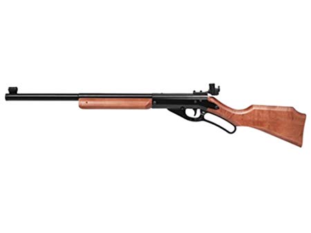 Western Classic (Daisy Avanti Champion 499 BB Gun) air rifle