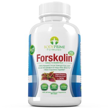 BodyPrime Formulas Forskolin w/ 40% & 20% Standardized Extracts - Appetite Suppressant & Weight Loss Aid - 260 mg per Capsule - 90 Capsules