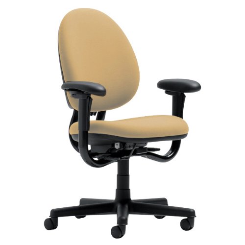 Steelcase Criterion Chair, Barley Fabric