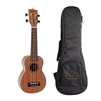 Hricane Soprano 21inch Professional Ukulele Small Guitar Pack with Gig Bag