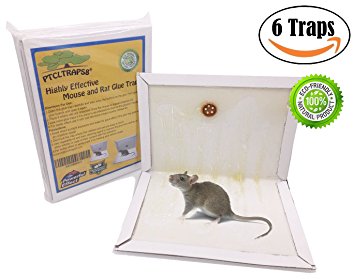 Highly Effective Mouse and Rat Glue Traps