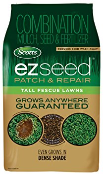Scotts 17519 Seed Tall Fescue Lawns 10 LB