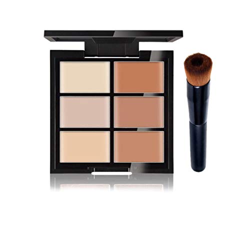 Tmalltide New Pro Concealer Palette of Corrective Face Cosmetic Makeup Neutral Corrector 6 Color Professional Foundation Palette With Brush Set (2#)
