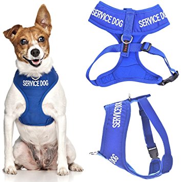 SERVICE DOG (Do Not Disturb/Dog Is Working) Blue Color Coded Non-Pull Front and Back D Ring Padded and Waterproof Vest Dog Harness PREVENTS Accidents By Warning Others Of Your Dog In Advance