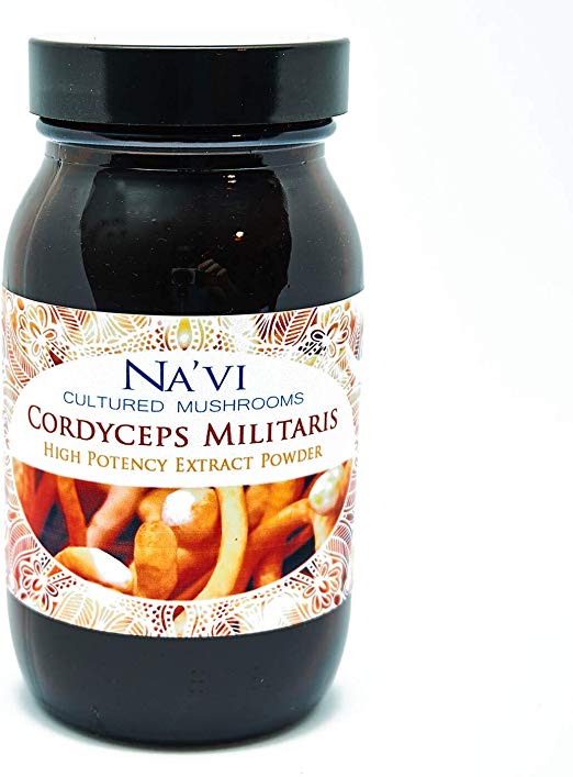 Full Spectrum Cordyceps Militaris Fruiting Body Extract Powder - Superior Quality (70g)
