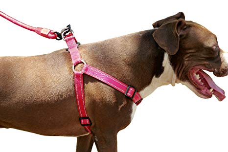CHILIPET Best Step in No Pull Dog Harness for Large & Medium Size Breeds, Fits on Chest Girth Sized (1.0" X 26-39"), Adjustable Harness with Reflective Stitching