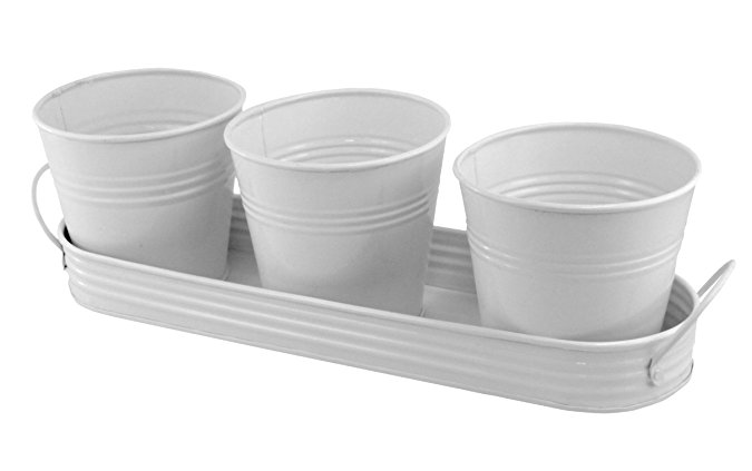 PLAID 3 Metal Planting Pots In Tray - White