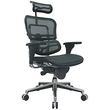 Eurotech Ergohuman Mesh Chair - 18.1A"22.9" Seat Height - High-Back Chair With Headrest - Green - Green
