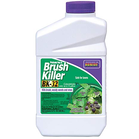 Bonide Products 331 Concentrate Brush Weed Killer, 32-Ounce