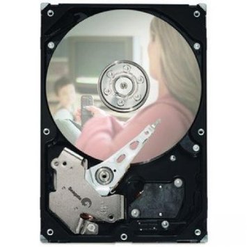 Seagate ST3250310CS 250GB 7200RPM 8MB Cache SATA 3.5" Internal Desktop Hard Drive w/1 Year Warranty