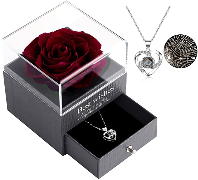 Preserved Rose with Love Necklace 100 Languages Necklace Gift Set, Enchanted Handmade Real Rose Eternal Preserved Rose Flower for Girlfriend Wife on Valentine's Day, Birthday, Mother's Day (Wine Red)
