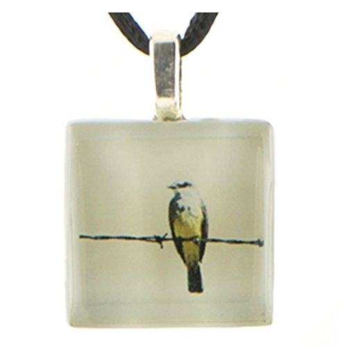 Handmade Glass Bird Necklace - Original Kingbird Image on Artisan Made Pendant - Reversible - on Black Silk Cord