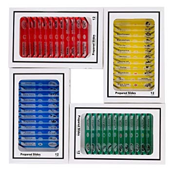 Zerich 48PCS Kids Plastic Prepared Slides for Microscope of Animals Insects Plants Flowers Sample Specimens