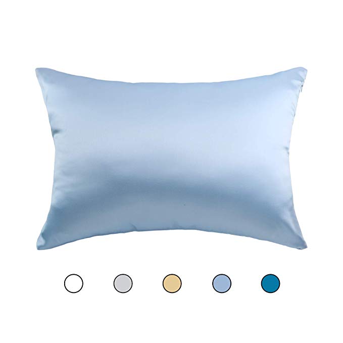 Hodeco Nature Silk Pillowcase Sky Blue Double Sides 100% Mulberry Silk 19 Momme Thick Silk Pillow Cover for Skin and Hair Pillow Sham Cover, 20x26 Inches Standard Size (51x66cm), Light Blue 1 Piece
