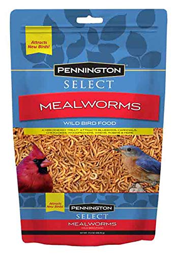 Select Pennington Mealworms Wild Bird Food, 17.6oz Pouch