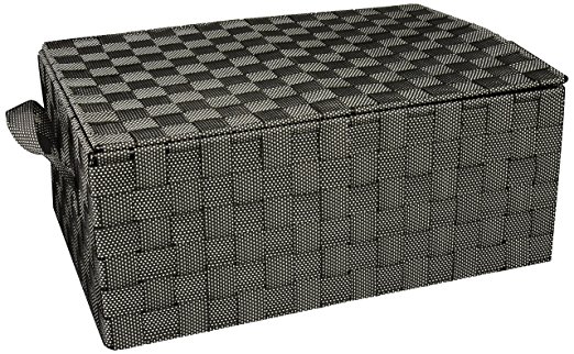 Honey-Can-Do OFC-03710 Hinged Lid Double Woven Storage Box with Handles, 12-Inch by 17-Inch by 7-Inch, Salt & Pepper