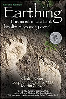 Earthing: The Most Important Health Discovery Ever! (Second Edition)