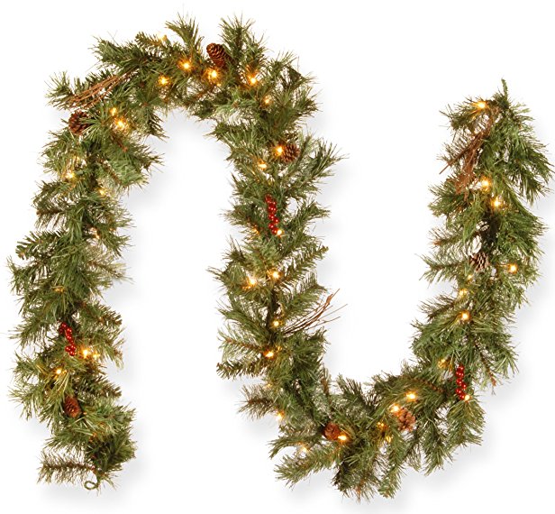 National Tree 9 Foot by 10 Inch Glistening Pine Garland with Berries, Cones, Twigs and 50 Clear Lights (GN19-300-9A-1)