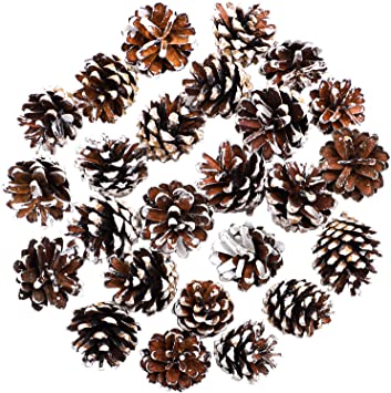 Cooraby 24 Pieces Mini Pine Cones Christmas Snow Pine Cones Natural Ornament 4 to 6cm Pine Cones Pendant for Fall and Christmas Party Decoration Home Decoration (Snow, 24)