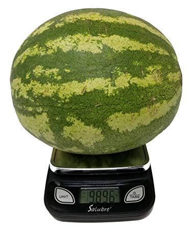 Digital Food Scale/Kitchen Scale/Postal Scale – Weigh in Pounds, Ounces, Grams - Precise Weight Scale 1g (0.04oz) to 11 lbs - Batteries Included