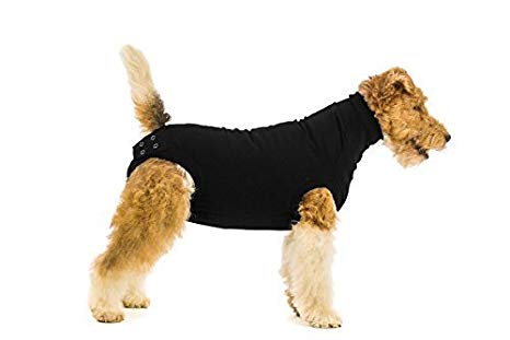 Suitical Recovery Dog Suit, Small   , Black