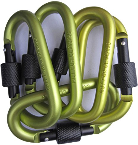 LeBeila Carabiner Aluminum Screw Locking Spring Clip Hook Outdoor D Shaped Keychain Buckle for Camping, Hiking, Fishing (Green)
