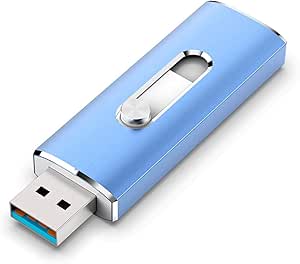 256GB Flash Drive, Aiibe USB C Flash Drive 256GB Dual USB 3.1 USB C Memory Stick OTG Type C Thumb Drive 256 GB USB C Drive for PC Tablet TV Car Type C Smart Phone (256G, Blue)