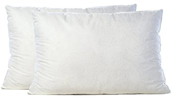 Gusseted Pillow Queen 2 Pack - Premium Gel Fiber Filled Black Label Edition with 2 Inch Corded Gusset and 100% Cotton 300 Thread Count Shell - Hypoallergenic, Machine Washable