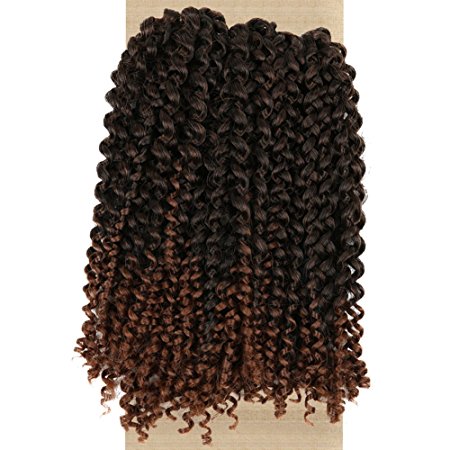 Lady Miranda Ombre Color Afro kinky Curly Braiding Hair Extensions Jerry Curl Crochet Hair 3X Braid Hair Short Synthetic Hair Styles (Black&brown)