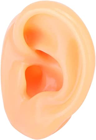 Ear Model , Soft Silicone Simulation Left Human Ear Model Ear Display Teaching Aid Modelprofessional Display Tool for Every Hearing Aid Consultant