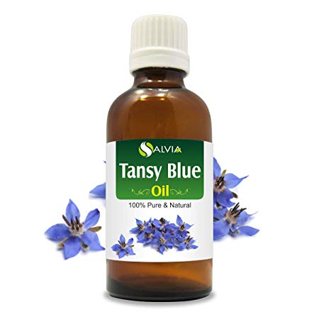 Tansy Blue Oil (Tanacetum annuum) 100% Natural Pure Undiluted Uncut Essential Oil 30ml